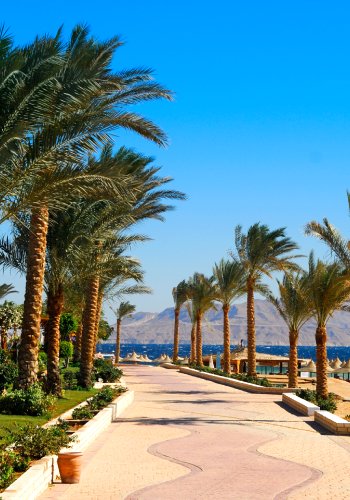 Strände entdecken im Sharm El Sheikh Urlaub